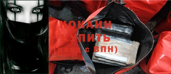 индика Верхний Тагил