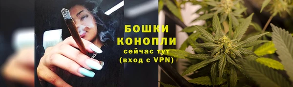 сатива Богородск
