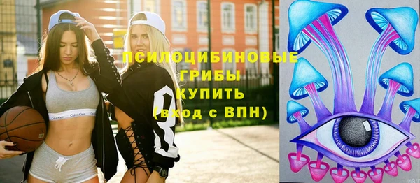 apvp Майский