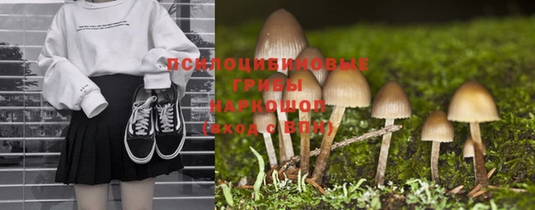 бошки Богородицк