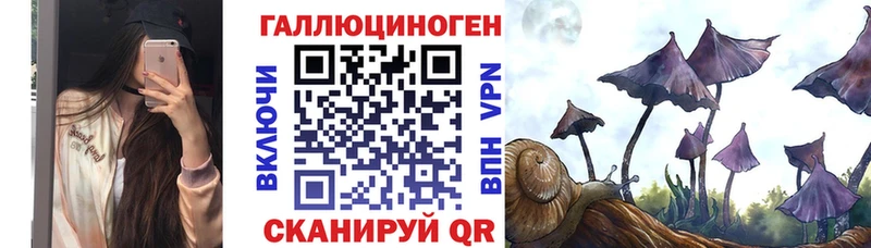 kraken зеркало Старица Псилоцибиновые грибы GOLDEN TEACHER